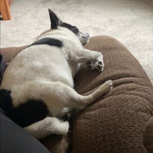 Meet your Posher, Tammy